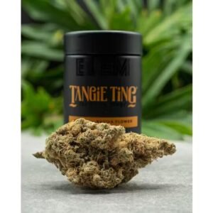 Tangie Ting