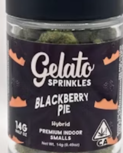 Blackberry Pie