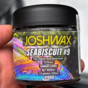 Seabiscuit #9