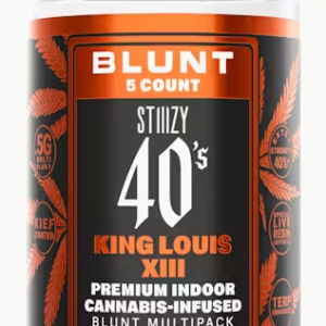 King Louis Xiii