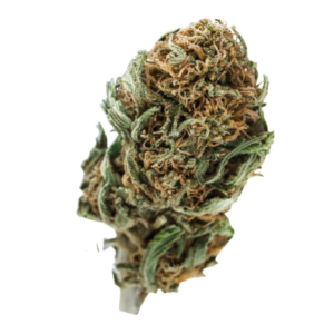 Blueberry