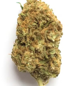 Perrywinkle Haze