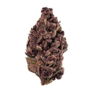 Purple Tangie