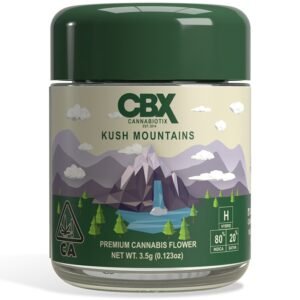 Kush Mountains