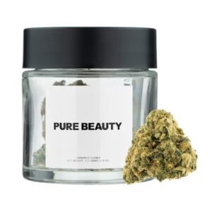 Terry T X Gelato CBD White Box