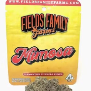 Mimosa