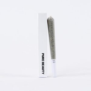 Terry T X Gelato 33
