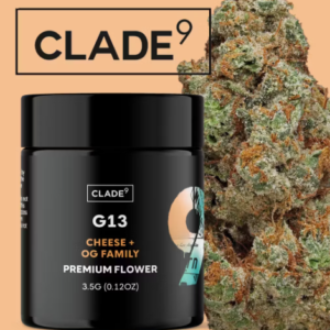 G13