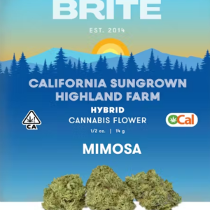 Mimosa
