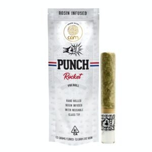 Punch Rocket - Daniel Larusso X Garlic Cookies