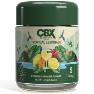 Tropical Lemonade