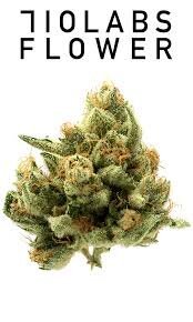 Zimosa #2