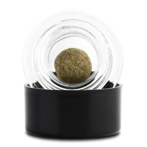 Apes In Space Temple Ball