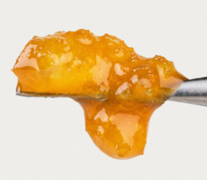 Apple Fritter #74
