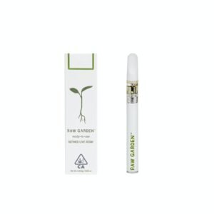 Beach Party
