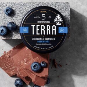 Blueberry Bites