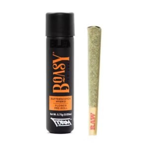 Boasy