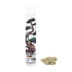 Bonzai