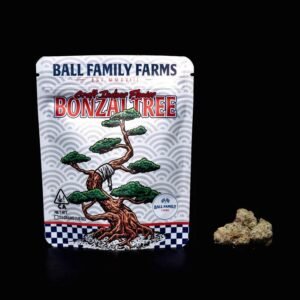 Bonzai Tree