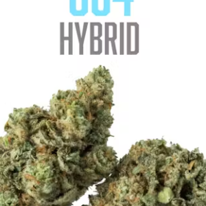 GG 4
