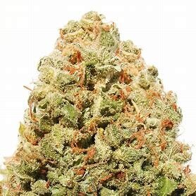 Humboldt Pound Cake