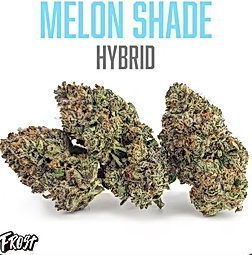 Melon Shade