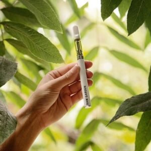 Sundae Surfer