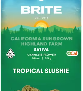 Tropical Slushie