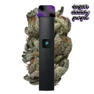 Just Play Sugar Daddy Purple