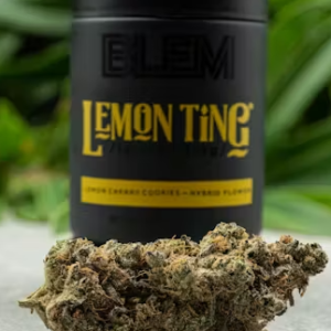 Lemon Ting