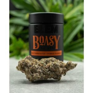Boasy