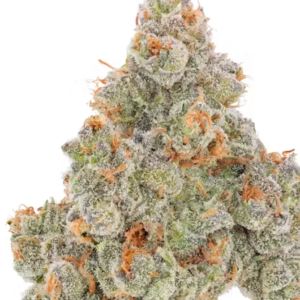 Peach Wreck
