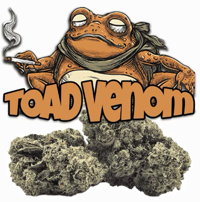Toad Venom