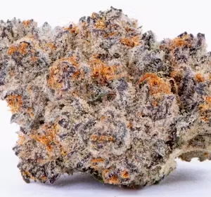 PROMO THAI LANDRACE 14G