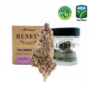 Purple Tangie