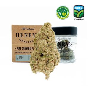 Gorilla Diesel