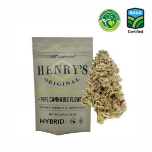 Mendo Fuel
