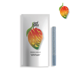 Mango Fruz