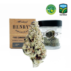 Jamaican Pearl