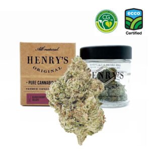 Black Cherry Gelato