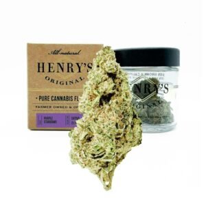 Purple Stardawg