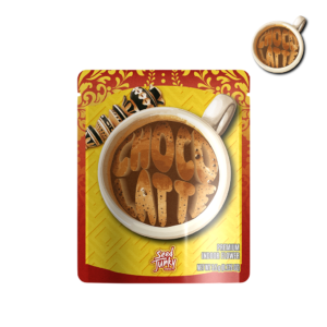 CHOCOLATTE 3.5G