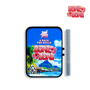 BORA BORA 4PK PREROLLS