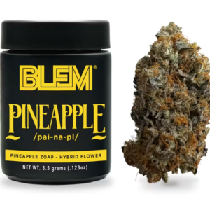 PINEAPPLE 3.5G E4
