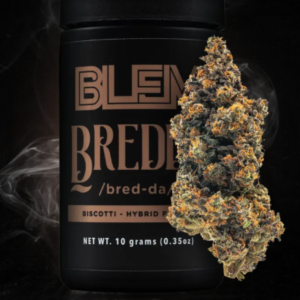 BREDDA 10G G1