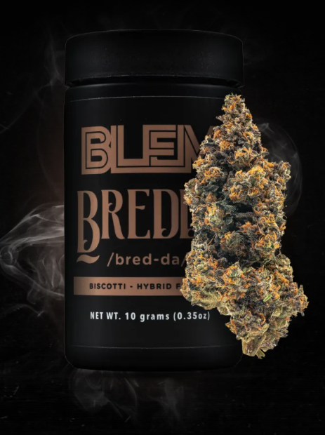 BREDDA 10G G1