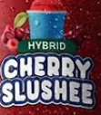 DIAMOND INFUSED CHERRY SLUSHEE 2PK PRE-ROLLS E5