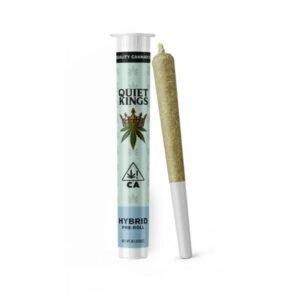 APPLE FRITTER PREROLL 1G